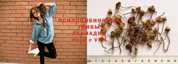 MDMA Волоколамск