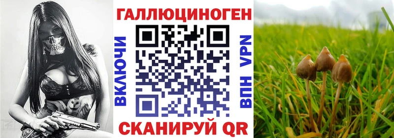 Галлюциногенные грибы мухоморы  МЕГА зеркало  Заозёрный 